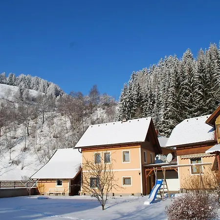 Daire In Rennweg Near Katschberg Area