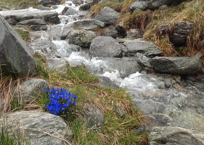 Appartement In Rennweg Near Katschberg Area *